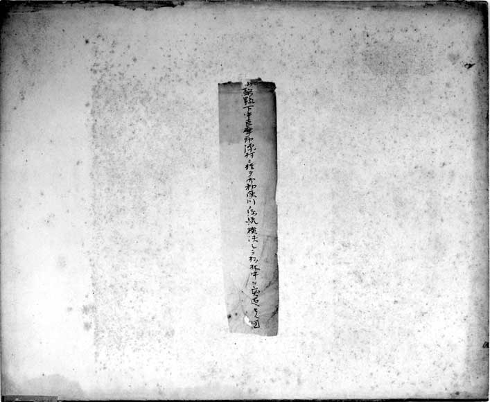 2．富士川流域・山梨県下の水害 2－2：源村(現・白根町)における御勅使川の洪水流が通過した松林